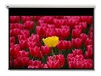 OPTOMA  Pantalla 16:9 2656 x 1494mm &eacute;cran de projection 3,05 m (120"")