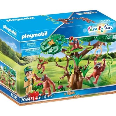 Orangs outans  avec grand arbre