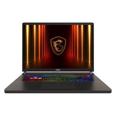 MSI Ordinateur Portable -  - Vector 17 HX AI A2X - Intel Core Ultra 9 - 17 QHD+ - 240Hz