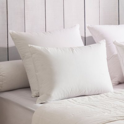 DODO Oreiller 90% Duvet ECO-RESPONSABLE MEDIUM - 45/70 - 