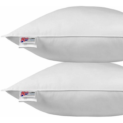 HOMESCAPES Oreiller en Plumes et duvet d'oie 80 x 80 cm - lot de 2