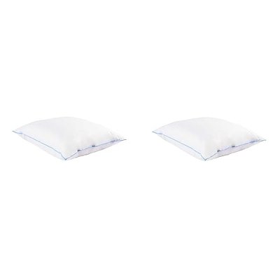 NON RENSEIGNE Oreiller moelleux duvet (lot de 2)