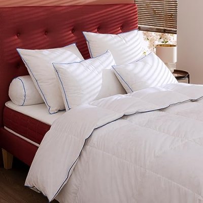 NON RENSEIGNE Oreiller moelleux/ferme duvet de canard anti-allerg&egrave;nes 65x65