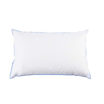 SOMEO Oreiller moelleux/ferme duvet de canard anti-allerg&egrave;nes  45x70