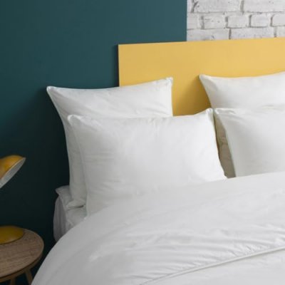 WAKE ME GREEN Oreiller MOELLEUX Gonflant Durable - Coton Bio 60x60 cm - Wake Me Gre