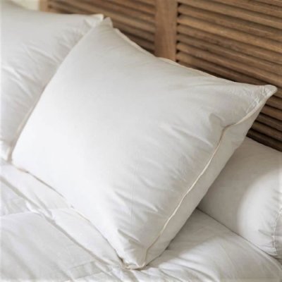 CASTEX Oreiller naturel moelleux en duvet et coton bio 50x70 cm
