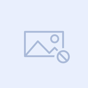 HP Original  L0R20YC / 981YC Cartouche d'encre noire