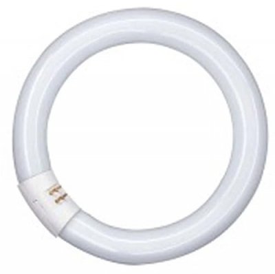 OSRAM  AA408170155-circulaire Tube Fluorescent/l32 865-32w