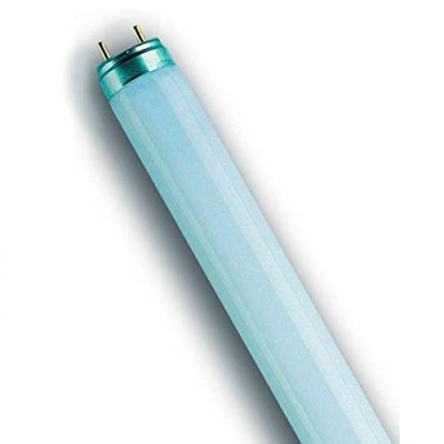 LIGHTO Osram T8 Lumilux 36W - 865 Lumi&egrave;re du Jour | 120cm