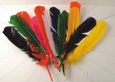 OZ  International - Plume Indien Coloris Assorti -sachet De 10