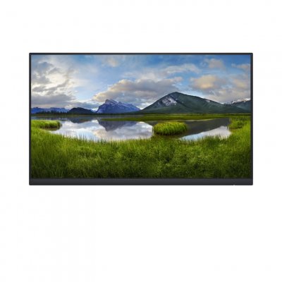 DELL P2422hewo 24 pouces lcd full hd 60 hz ips noir