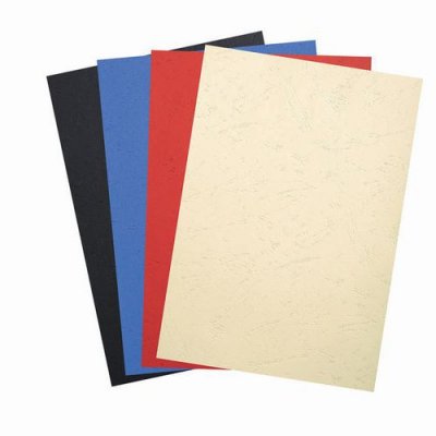 EXACOMPTA Pack de 100 couvertures Forever A4 270 g  Couleurs Assorties