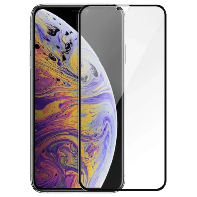 PANZERGLASS  - Apple iPhone XS Max/11 Pro Max Case Friendly, Noir