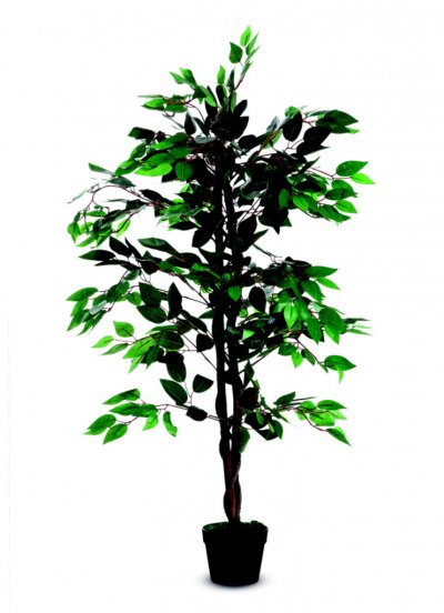 PAPERFLOW  Plante artificielle 'Ficus', hauteur : 1.200 mm