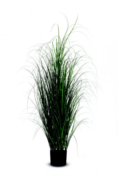 PAPERFLOW  Plante artificielle 'Herbac&eacute;e', hauteur: 1.300 mm