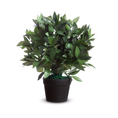 PAPERFLOW Plante artificielle 'Laurier', hauteur : 500 mm