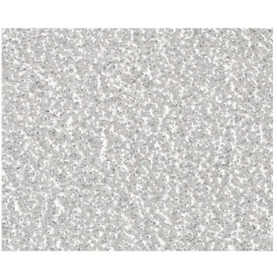 WOLFCRAFT Papier De Verre Peinture/Vernis Grain 80 230x280mm 6012000 