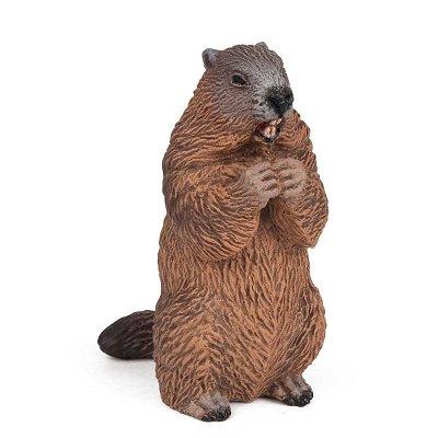 PAPO  - 50128 - Marmotte