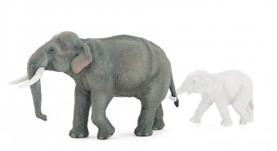 PAPO  - 50131 - El&eacute;phant d'Asie