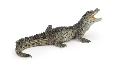 PAPO  - 50137 - Figurine - Animaux - B&eacute;b&eacute; Crocodile
