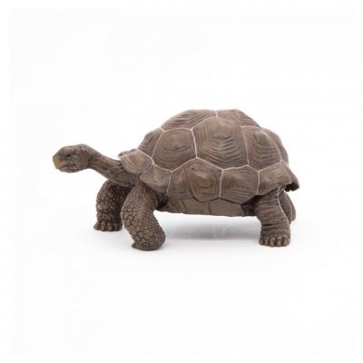 PAPO  - 50161 - Tortue des Galapagos