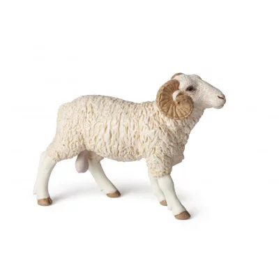 PAPO  - 51129 - B&eacute;lier 