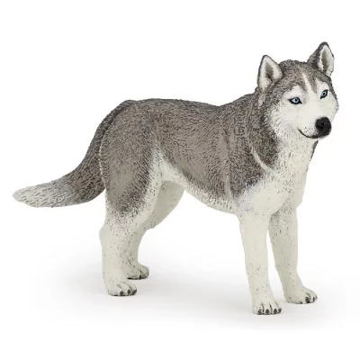 PAPO  54035 Figurine Husky de Sib&eacute;rie