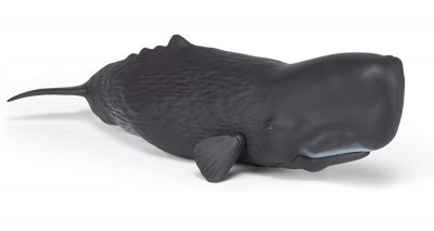 PAPO - Cachalot l'univers Marin Figurine, 56036, Multicolore