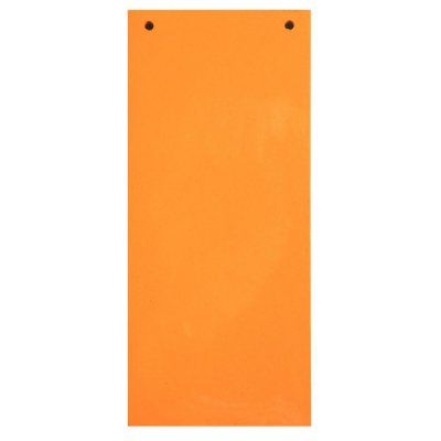 EXACOMPTA Paquet 100 Fiches Intercalaires Horizontales Unies Perforees Nature Future - 105x240mm