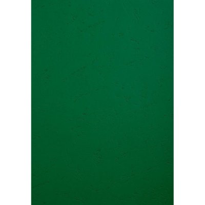 EXACOMPTA Paquet De 100 Couvertures Grain Cuir Pour Reliure A4-vert