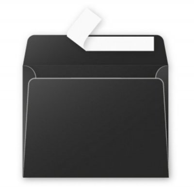 POLLEN Paquet de 20 enveloppes de visite  90x140mm FT30 Noir 120g