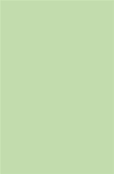 GENERIQUE Paquet de 20 enveloppes Pollen 114x162mm C6 Vert 120g