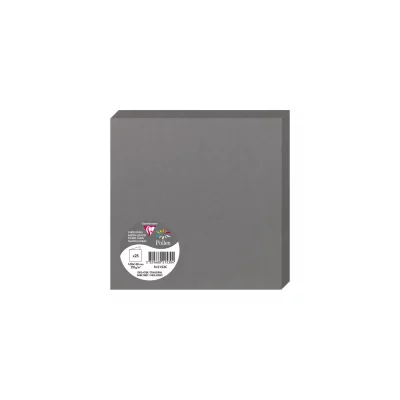 POLLEN Paquet de 25 cartes pli&eacute;es  135x135mm Gris Acier 210g