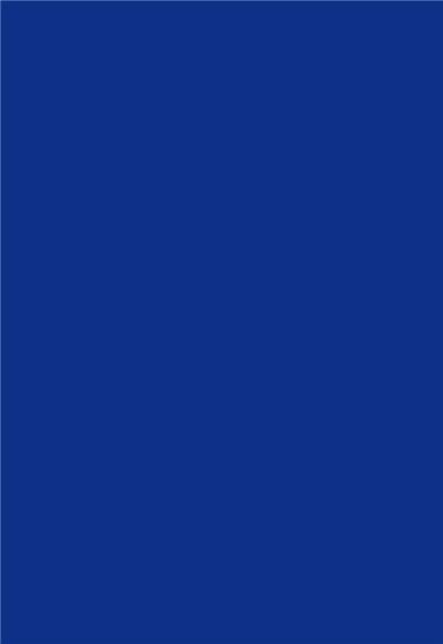 POLLEN Paquet de 25 cartes simples  106x213mm Bleu Nuit 210g
