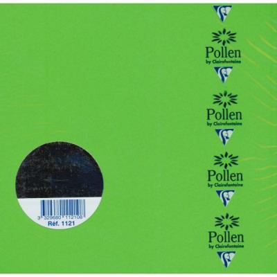 POLLEN Paquet de 25 cartes simples  160x160mm Vert Menthe 210g