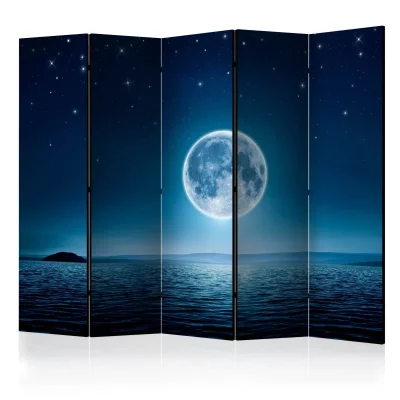 Paravent 5 volets - moonlit night ii [room dividers] A1-PARAVENTtc0428