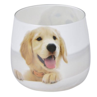 PARIS PRIX  Bougie Anti-Odeurs ""Chien"" - Blanc