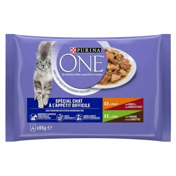 PURINA ONE Pat&eacute; Sp&eacute;cial Chat difficile, effil&eacute;s en sauce sachets 4x85g