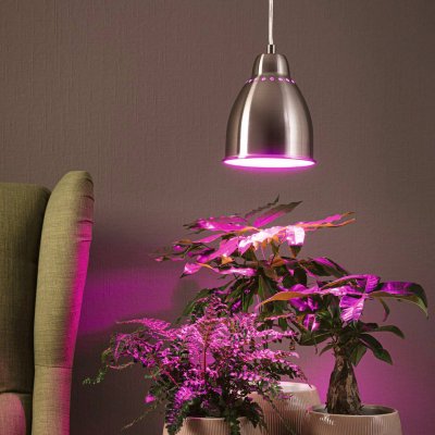 PAULMANN  Neordic Hilla Suspension, Fer Bross&eacute;