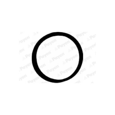 PAYEN  Joint Collecteur d'Admission BMW,OPEL JD5107 11612246945,2246945