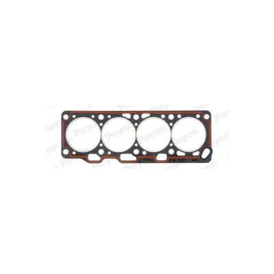 PAYEN  Joint de culasse BL570 VOLKSWAGEN POLO