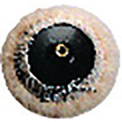FEIN Peau de mouton  63723003003 Diam&egrave;tre 170 mm N/A