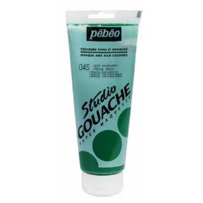 GENERIQUE P&eacute;b&eacute;o Peinture Gouache - 220 ml - Vert Printemps