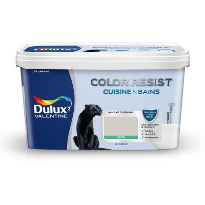 DULUX VALENTINE Peinture Color Resist Cuisine et Bains - Galet - Satin - 2L