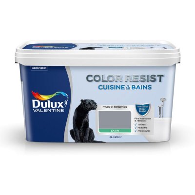 DULUX VALENTINE Peinture Color Resist Cuisine et Bains - Gris - Satin - 2L