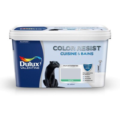 DULUX VALENTINE Peinture Color Resist Cuisine et Bains - Hammam - Satin - 2L
