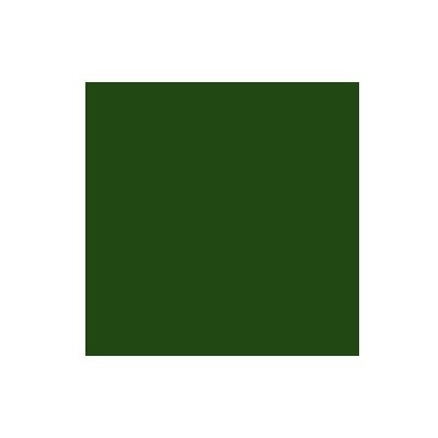 DURIEU Peinture multi supports TOP3+ satin 0.250 L - vert jardin