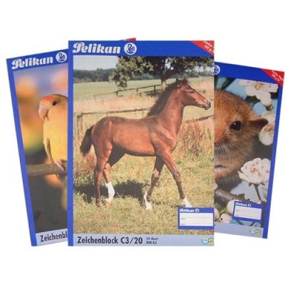 PELIKAN  - 224840 - Bloc &Agrave; Dessin - C3/20 Din A3 Avec 20 Feuilles 100g
