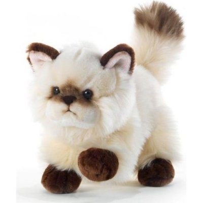 PLUSH & COMPANY Peluche Thaytoo Chat - PLUSH & COMPANY - 21 cm - Pour b&eacute;b&eacute;