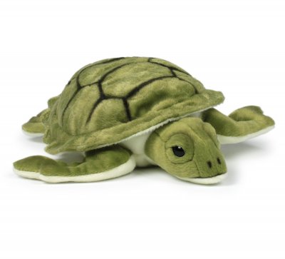 WWF Peluche :  Tortue 23 cm Neotilus